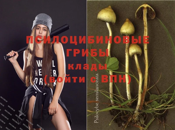 прущая мука Абинск