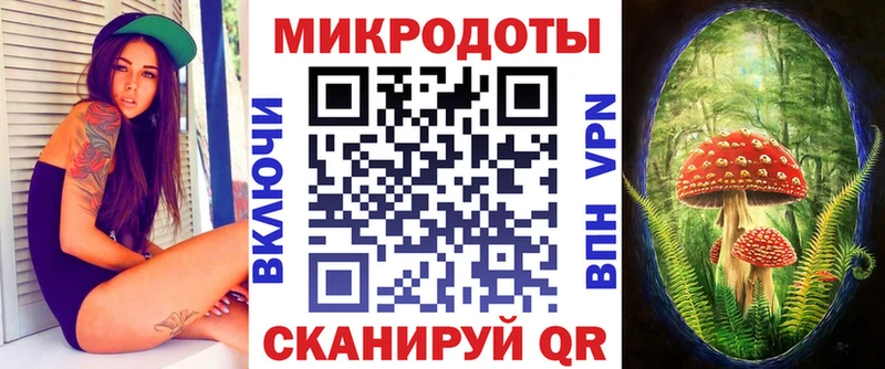 Галлюциногенные грибы Psilocybe  Гаврилов Посад 